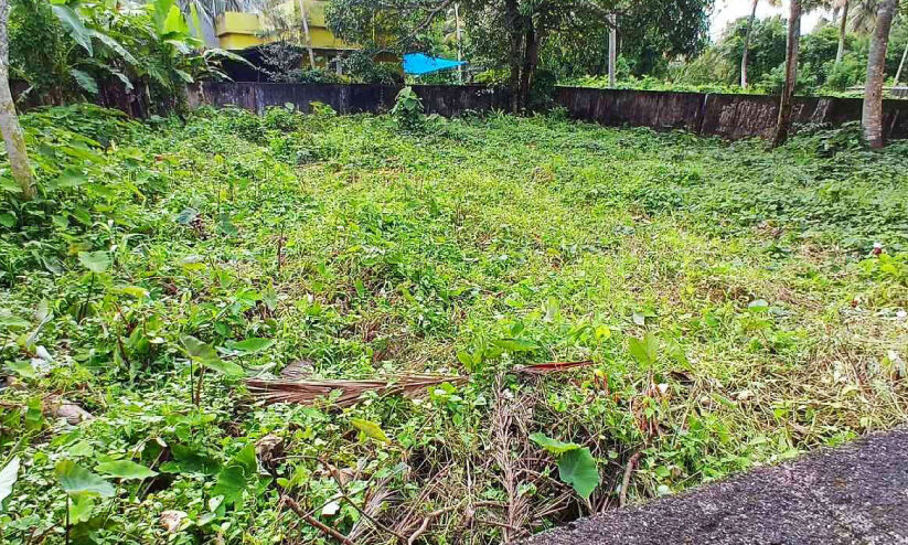 നാല് സ്ത്രീകളുടെ തിരോധാനം; സെബാസ്റ്റ്യന്‍റെ സഹോദരന്റെ പുരയിടം ക്രൈംബ്രാഞ്ച് നിരീക്ഷണത്തിൽ