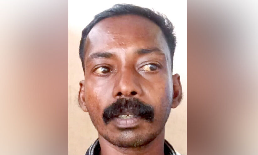 വീട്ടമ്മയുടെ സ്വർണവും പണവും കവർന്ന കേസ്; ഒരാൾകൂടി പിടിയിൽ വീട്ടമ്മയുടെ സ്വർണവും പണവും കവർന്ന കേസ്; ഒരാൾകൂടി പിടിയിൽ