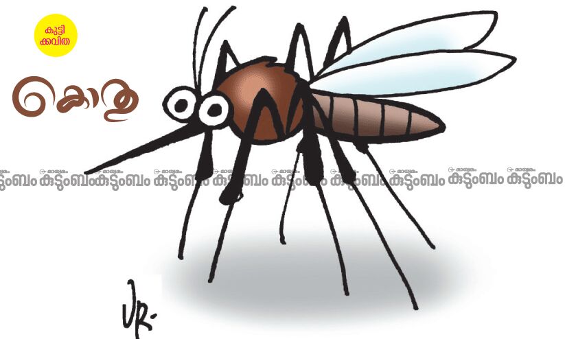 കുട്ടിക്കവിത: കൊതു