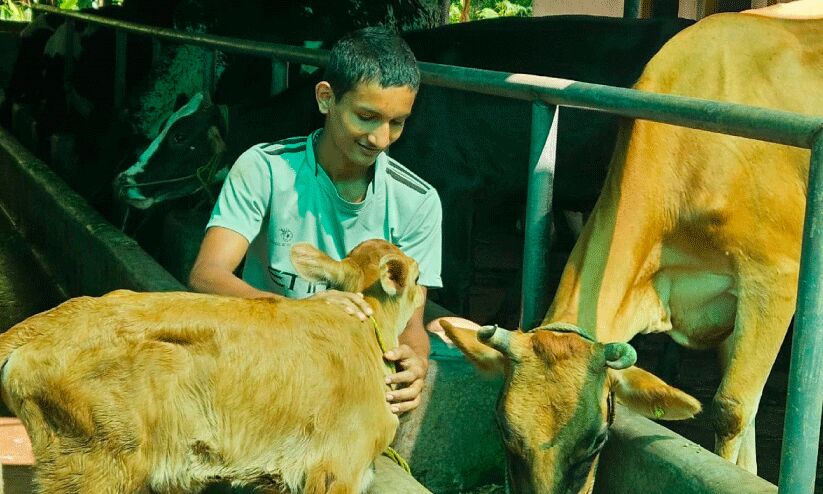 അന്ന് സങ്കടക്കടലിൽ; ഇന്ന് മാത്യു ബെന്നിയും പശുക്കളും ഹാപ്പി അന്ന് സങ്കടക്കടലിൽ; ഇന്ന് മാത്യു ബെന്നിയും പശുക്കളും ഹാപ്പി