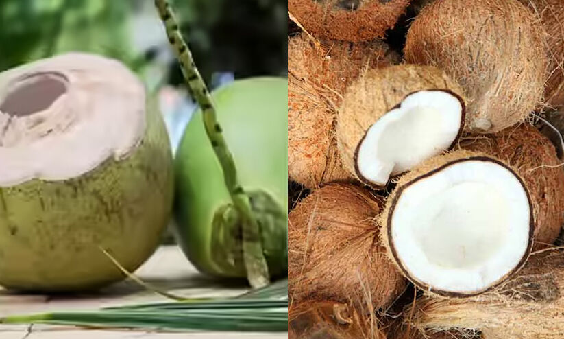 കരിക്കേ...നിനക്കിത്ര ഡിമാന്റോ..!; ഇങ്ങനെ പോയാൽ തേങ്ങക്ക് ഇനിയും വില കൂടും കരിക്കേ...നിനക്കിത്ര ഡിമാന്റോ..!; ഇങ്ങനെ പോയാൽ തേങ്ങക്ക് ഇനിയും വില കൂടും