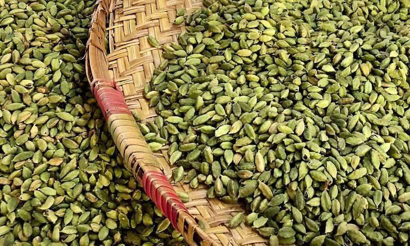 ഏലത്തിന് കൂടിയ വില കിലോഗ്രാമിന് 3000ത്തിന്​ മുകളിൽ