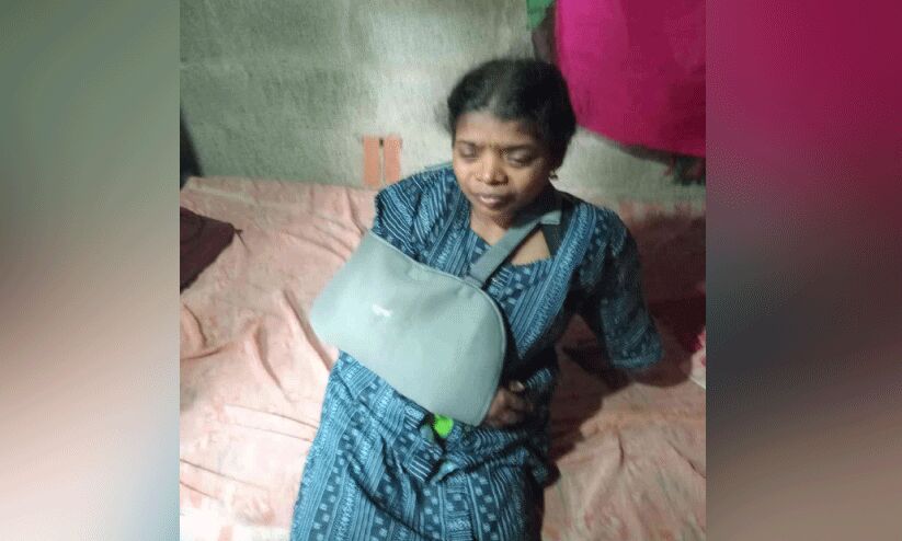 കാ​ട്ടു​പ​ന്നി ആ​ക്ര​മ​ണം: കൂ​ട​ര​ഞ്ഞി​യി​ൽ കാ​ൽന​ട​യാ​ത്രി​ക​ക്ക് പ​രി​ക്ക്