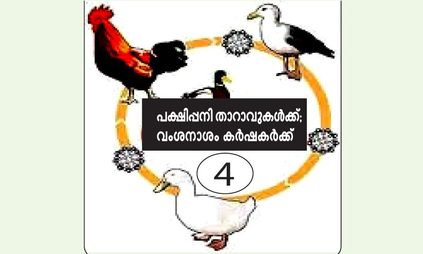 താറാവുകളുടെ കുത്തക കുട്ടനാടിന്​ സ്വന്തം