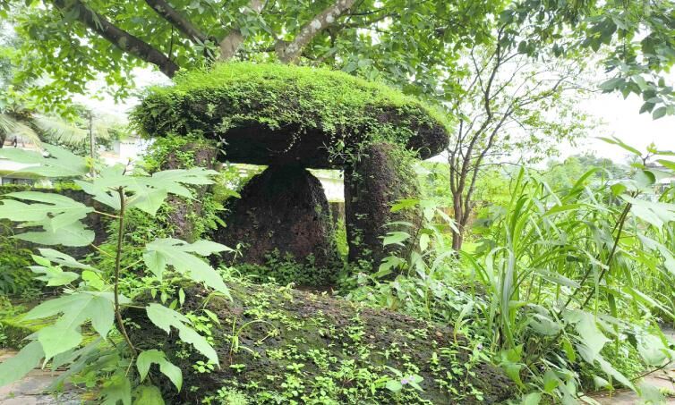 ഈ കുടക്കല്ലുകൾക്കും വേണ്ടേ ഒരു ‘സംരക്ഷണക്കുട’ ഈ കുടക്കല്ലുകൾക്കും വേണ്ടേ ഒരു ‘സംരക്ഷണക്കുട’