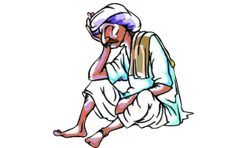 ക​രി​ഞ്ഞു​ണ​ങ്ങു​ന്ന​ത്​ ക​ർ​ഷ​ക സ്വ​പ്​​ന​ങ്ങ​ൾ