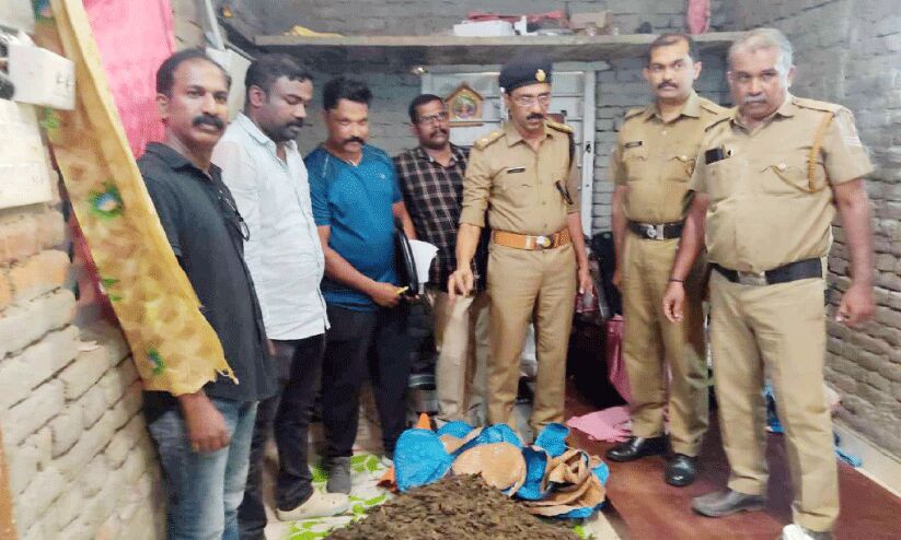 വീട്ടിൽ സൂക്ഷിച്ച 22 കിലോ കഞ്ചാവ് പിടികൂടി വീട്ടിൽ സൂക്ഷിച്ച 22 കിലോ കഞ്ചാവ് പിടികൂടി