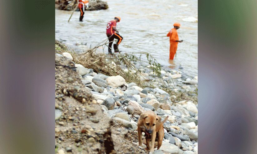 ഇവരും തിരച്ചിലിലാണ് ഇവരും തിരച്ചിലിലാണ്