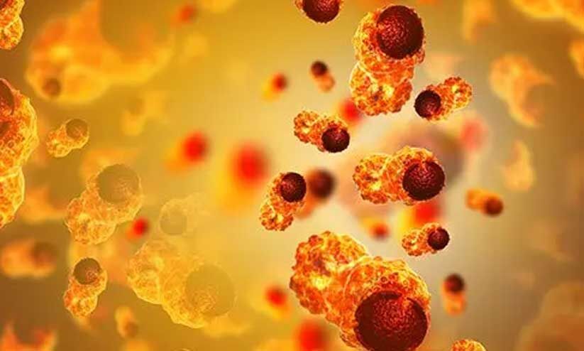 2050ഓടെ കാൻസർ മരണങ്ങൾ ആഗോളതലത്തിൽ 18 മില്യനാകുമെന്ന് റിപ്പോർട്ട് 2050ഓടെ കാൻസർ മരണങ്ങൾ ആഗോളതലത്തിൽ 18 മില്യനാകുമെന്ന് റിപ്പോർട്ട്