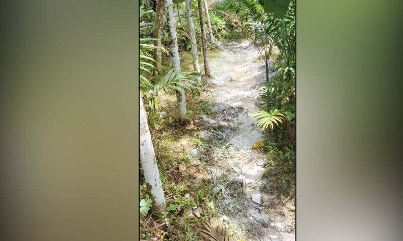 റോഡരികിൽ കക്കൂസ് മാലിന്യം തള്ളി റോഡരികിൽ കക്കൂസ് മാലിന്യം തള്ളി