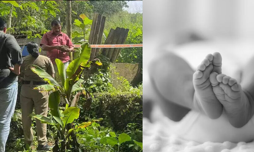 ഗര്‍ഭിണിയാക്കിയത് കാമുകന്‍; കുളനട മെഴുവേലിയിലെ നവജാതശിശുവിന്‍റെ മരണം കൊലപാതകം