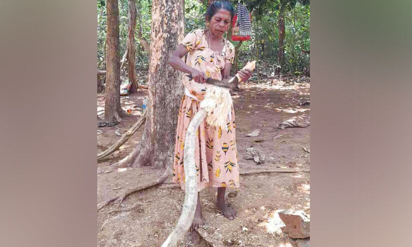 തണ്ണിത്തോട് റോഡിൽ ഇഞ്ചവെട്ട് സജീവം; സഞ്ചാരികൾക്ക്​ കൗതുകം