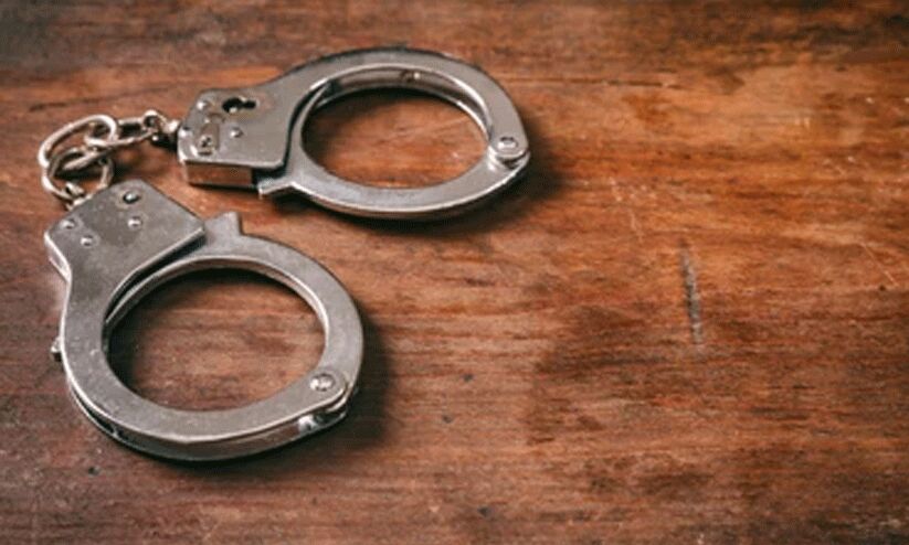 ജോ​ലി​ക്കെ​ത്തി​യ വീ​ട്ടി​ൽ ആ​ഭ​ര​ണ​ക്ക​വ​ർ​ച്ച: പ്ര​തി പി​ടി​യി​ൽ