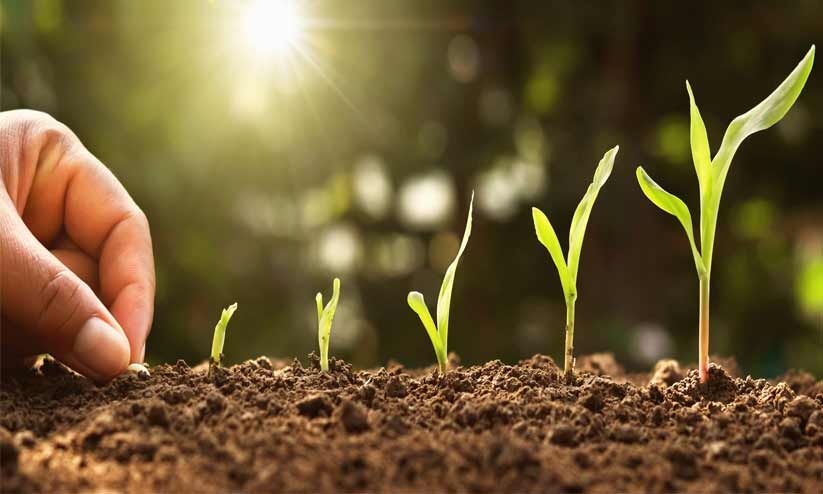 മണ്ണറിഞ്ഞ് കൃഷി ചെയ്യാം മണ്ണറിഞ്ഞ് കൃഷി ചെയ്യാം