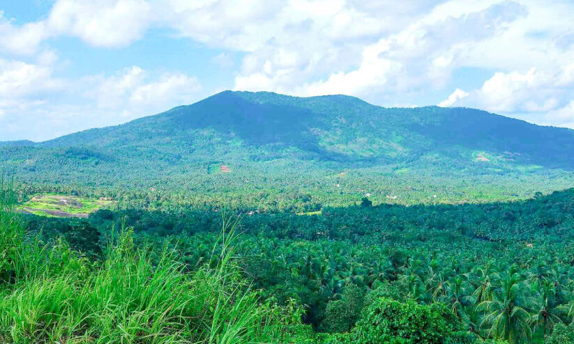 ഇന്ന് ദേശീയ വിനോദ സഞ്ചാരദിനം; ടൂറിസം വികസനത്തിന് പദ്ധതിയൊരുക്കി മങ്കട പഞ്ചായത്ത് ഇന്ന് ദേശീയ വിനോദ സഞ്ചാരദിനം; ടൂറിസം വികസനത്തിന് പദ്ധതിയൊരുക്കി മങ്കട പഞ്ചായത്ത്