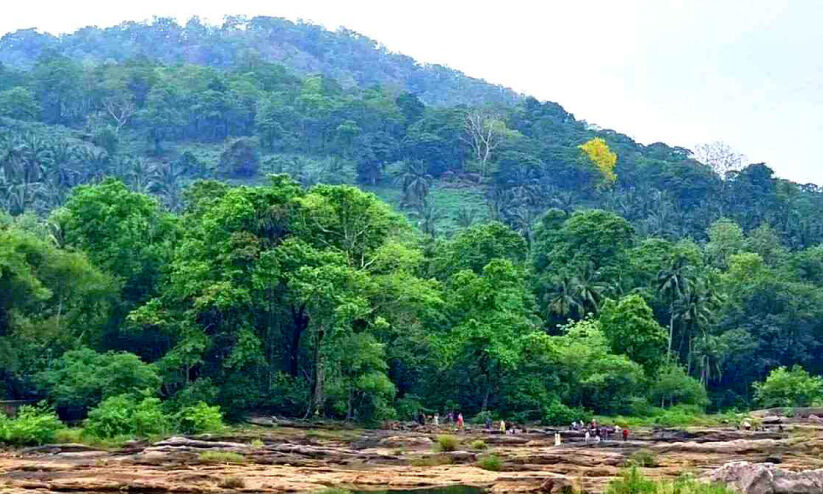 വേനൽമഴ; പച്ചയണിഞ്ഞ് അതിരപ്പിള്ളി വിനോദ സഞ്ചാര മേഖല വേനൽമഴ; പച്ചയണിഞ്ഞ് അതിരപ്പിള്ളി വിനോദ സഞ്ചാര മേഖല