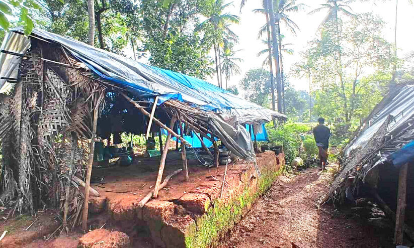 കാട്ടാനക്കലിയിൽ ആറളം; ഷെഡുകൾ തകർത്തു, മൂന്നുപേർക്ക് പരിക്ക് കാട്ടാനക്കലിയിൽ ആറളം; ഷെഡുകൾ തകർത്തു, മൂന്നുപേർക്ക് പരിക്ക്