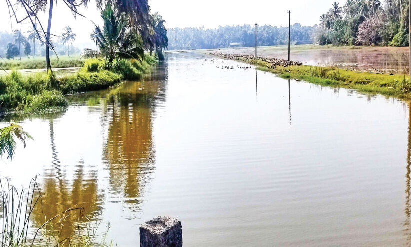 വികസനപ്രതീക്ഷകളിൽ മാരേക്കാട് വികസനപ്രതീക്ഷകളിൽ മാരേക്കാട്