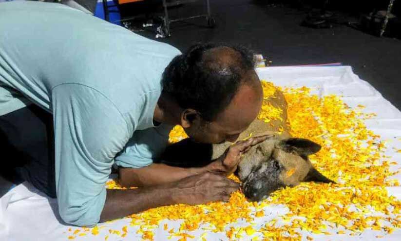 വിട, പ്രിയ റോസി... വിട, പ്രിയ റോസി...