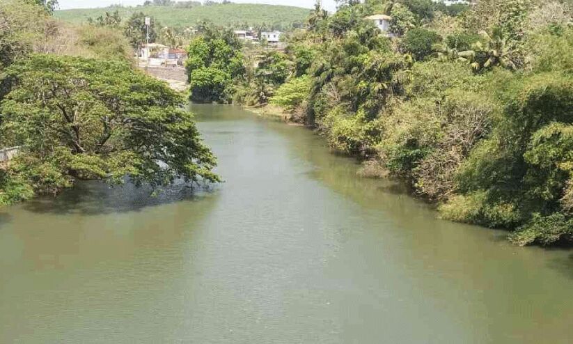 വേനലിലും മരണവ്യാപാരിയായി കല്ലടയാർ