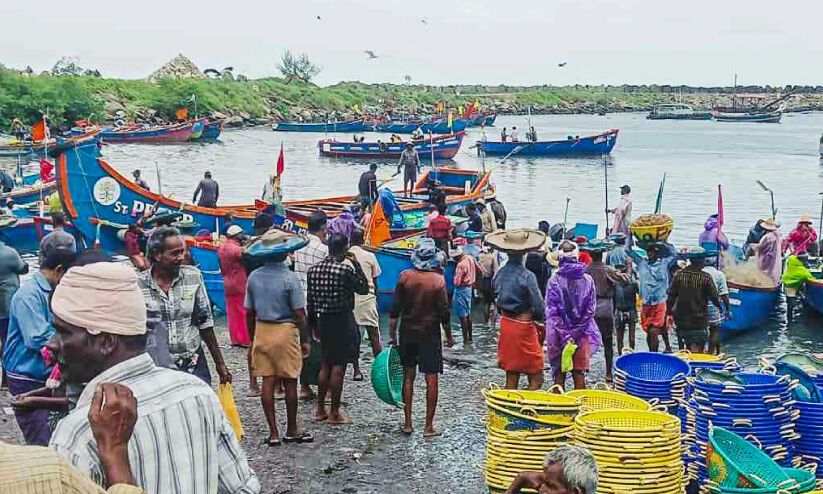 അനധികൃത മത്സ്യബന്ധനം തുടരുന്നു; പരമ്പരാഗത മത്സ്യബന്ധന വള്ളങ്ങൾക്ക് ഭീഷണി