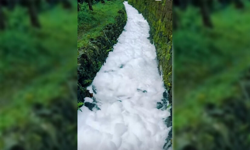 പഞ്ഞിക്കെട്ട് പോലെ പതഞ്ഞുപൊങ്ങി ഒഴുകി തോട്; പരിഭ്രാന്തിയിലായി നാട്ടുകാർ; കാരണം പച്ചക്കറിയിലെ വിഷാംശം കളയാൻ ഉപയോഗിക്കുന്ന രാസലായനിയെന്ന് പഞ്ഞിക്കെട്ട് പോലെ പതഞ്ഞുപൊങ്ങി ഒഴുകി തോട്; പരിഭ്രാന്തിയിലായി നാട്ടുകാർ; കാരണം പച്ചക്കറിയിലെ വിഷാംശം കളയാൻ ഉപയോഗിക്കുന്ന രാസലായനിയെന്ന്