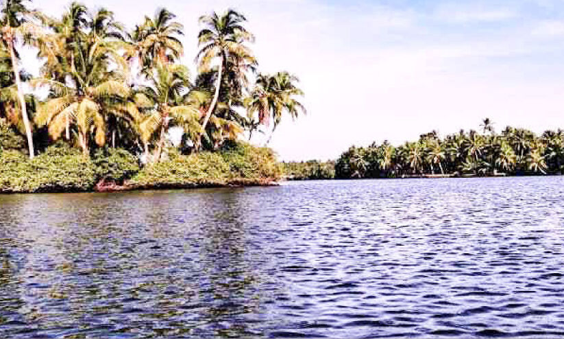 അരൂരിൽ താഴ്ന്ന പ്രദേശങ്ങൾ വെള്ളക്കെട്ടിൽ അരൂരിൽ താഴ്ന്ന പ്രദേശങ്ങൾ വെള്ളക്കെട്ടിൽ