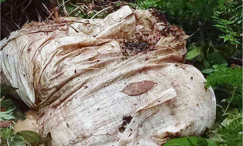 റോഡിൽ മാലിന്യം തള്ളുന്നത്​ പതിവാകുന്നു