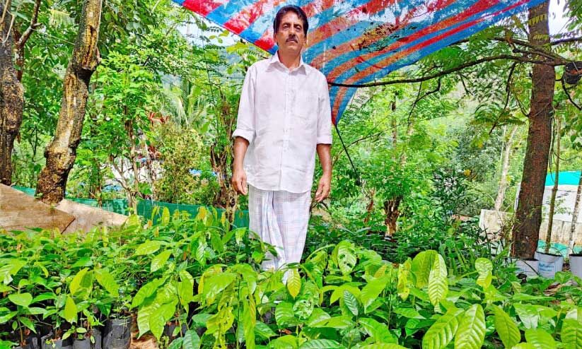 ഇത് തനി നാടൻ ജോസേട്ടൻ ഇത് തനി നാടൻ ജോസേട്ടൻ