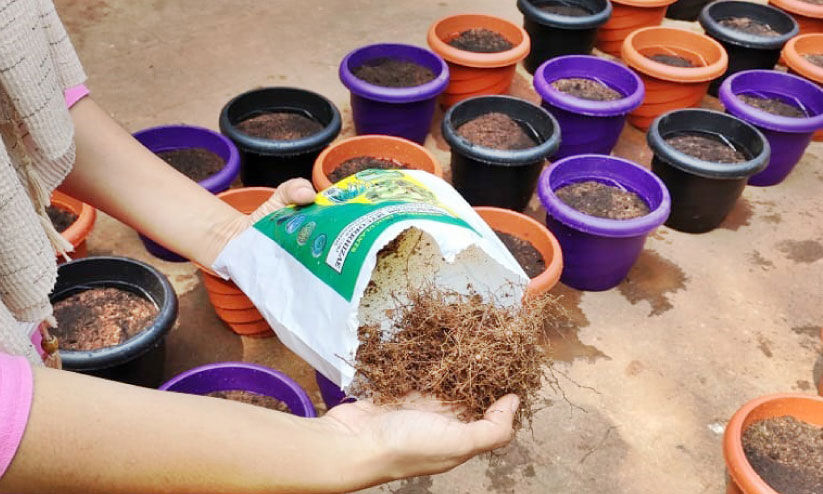 വരൾച്ച നിവാരിണി വാം വരൾച്ച നിവാരിണി വാം