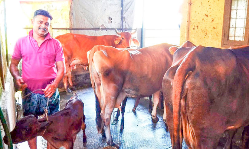 നൗഷാദ് പറയും, കൃഷിയുടെ രാഷ്ട്രീയം നൗഷാദ് പറയും, കൃഷിയുടെ രാഷ്ട്രീയം