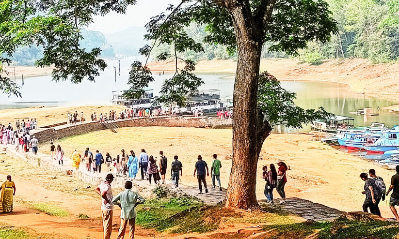 തിങ്ങിനിറഞ്ഞ് ഇടുക്കി; മൂന്നാറും വാഗമണ്ണും സഞ്ചാരികളുടെ ഇഷ്ടകേന്ദ്രം തിങ്ങിനിറഞ്ഞ് ഇടുക്കി; മൂന്നാറും വാഗമണ്ണും സഞ്ചാരികളുടെ ഇഷ്ടകേന്ദ്രം