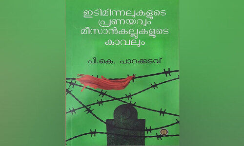 ഇടിമിന്നലും മീസാൻ കല്ലുകളും ഇടിമിന്നലും മീസാൻ കല്ലുകളും