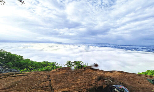 ആ​മ​സോ​ൺ വ്യൂ ​പോ​യ​ന്‍റ്​ ;  ഇ​ത​ല്ലേ ‘ലോ​കോ​ത്ത​ര’ കാ​ഴ്ച