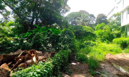 ജനറല്‍ ആശുപത്രി പരിസരം കാടുമൂടി; പാമ്പ് ഭീഷണി