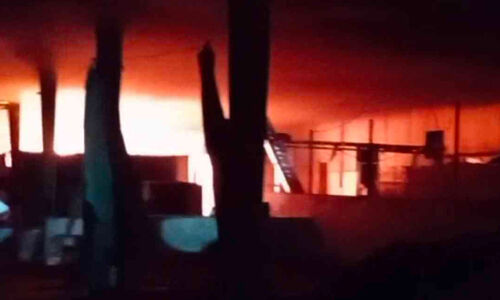 കി​നാ​ലൂ​ർ അ​ഗ്രോ പ്രൊ​ഡ​ക്റ്റ് ക​മ്പ​നി​യി​ൽ തീ​പി​ടി​ത്തം