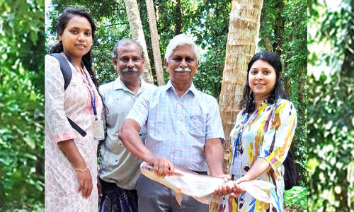 ‘ഓണക്കോള് ജോറായി’ വിളവെടുത്തത് അര ടൺ മത്സ്യം