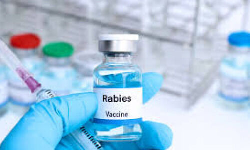 കുത്തിവെപ്പ് എടുത്തിട്ടും പേവിഷബാധ മരണം; വാക്സിൻ ഗു​ണനിലവാരം ഉറപ്പാക്കാൻ ജാഗ്രത