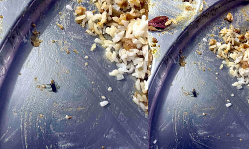 എൻജിനീയറിങ് കോളജിലെ ഭക്ഷണത്തിൽ പഴുതാര എൻജിനീയറിങ് കോളജിലെ ഭക്ഷണത്തിൽ പഴുതാര