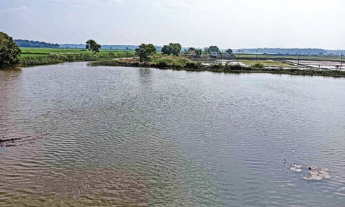 കോൾപാടങ്ങൾ നിറയുന്നു; ഭീതിയോടെ പ്രദേശവാസികൾ കോൾപാടങ്ങൾ നിറയുന്നു; ഭീതിയോടെ പ്രദേശവാസികൾ