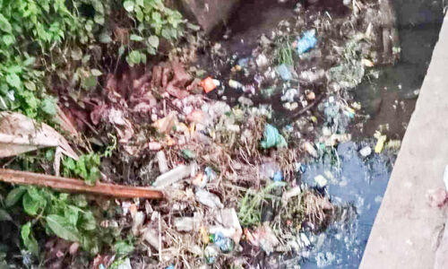 രോഗം വിളിച്ചുവരുത്തി തിരുനാവായയിലെ ലിഫ്റ്റ് ഇറിഗേഷൻ കനാലുകൾ രോഗം വിളിച്ചുവരുത്തി തിരുനാവായയിലെ ലിഫ്റ്റ് ഇറിഗേഷൻ കനാലുകൾ