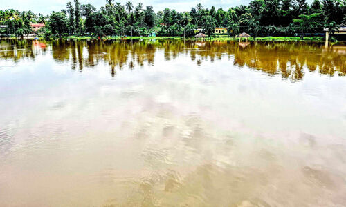 ഡാം തുറന്നു; സൗഹൃദ പാർക്ക് വീണ്ടും വെള്ളത്തിൽ