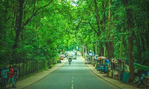 നിലമ്പൂർ യുനെസ്‌കോയുടെ ലേണിങ് സിറ്റി പട്ടികയില്‍