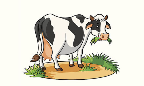 സബ്​സിഡി വാഗ്​ദാനത്തിലൊതുങ്ങി; ​യുവ ക്ഷീര കർഷകർ പ്രതിസന്ധിയിൽ