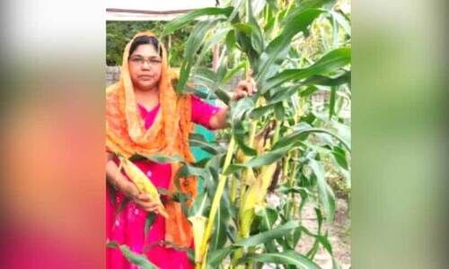 കൃഷി ജീവിതമാക്കി റെജീന