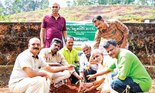 84 കണിക്കൊന്ന തൈകൾ നട്ട് യേശുദാസിന്റെ 84ാം പിറന്നാൾ ആഘോഷം 84 കണിക്കൊന്ന തൈകൾ നട്ട് യേശുദാസിന്റെ 84ാം പിറന്നാൾ ആഘോഷം