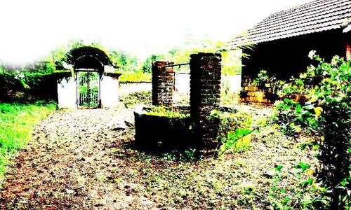 ഞാ​​ൻ ഓ​​ടു​​ന്നു നി​​ങ്ങ​​ളും