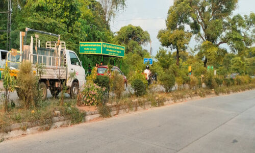 ഈ ഡോക്ടർ പരിസ്ഥിതിക്ക് നൽകുന്നത് ജീവന്‍റെ വിലയുള്ള ‘മരുന്ന്’
