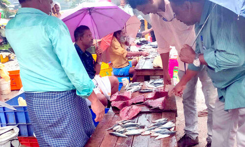 മത്സ്യവിപണന കേന്ദ്രങ്ങളിൽ പരിശോധന മത്സ്യവിപണന കേന്ദ്രങ്ങളിൽ പരിശോധന