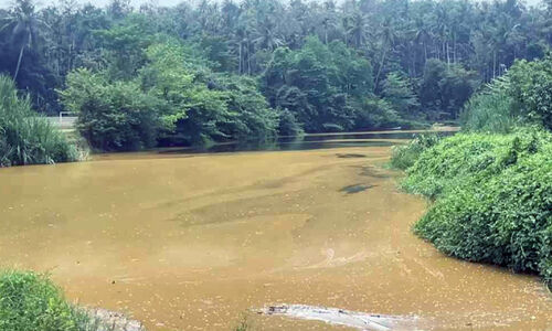 ജല അറോറിറ്റിയുടേതുൾപ്പെടെ കുടിവെള്ള പദ്ധതികൾ പ്രവർത്തിക്കുന്ന ചെറുപുഴയിൽ കോളിഫോം ബാക്ടീരിയ സാന്നിധ്യം; പുഴയിൽ പച്ച നിറത്തിലുള്ള പാട ജല അറോറിറ്റിയുടേതുൾപ്പെടെ കുടിവെള്ള പദ്ധതികൾ പ്രവർത്തിക്കുന്ന ചെറുപുഴയിൽ കോളിഫോം ബാക്ടീരിയ സാന്നിധ്യം; പുഴയിൽ പച്ച നിറത്തിലുള്ള പാട